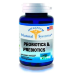PROBIOTICS Y PREBIOTICS X 120 CAPSULAS